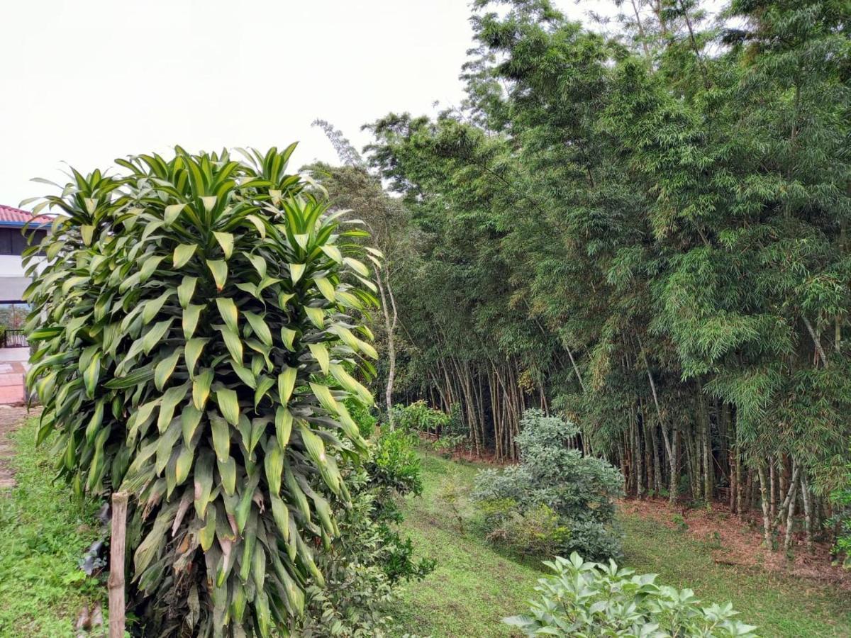 Finca clima templado, quebrada y jacuzzi; los clientes pueden usar todo el espacio y no tendrán que compartirlo con el anfitrión ni con otros huéspedes, calles en buen estado Alban  Exterior foto