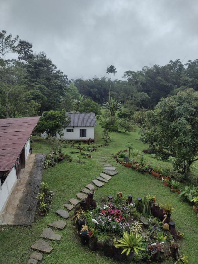 Finca clima templado, quebrada y jacuzzi; los clientes pueden usar todo el espacio y no tendrán que compartirlo con el anfitrión ni con otros huéspedes, calles en buen estado Alban  Exterior foto