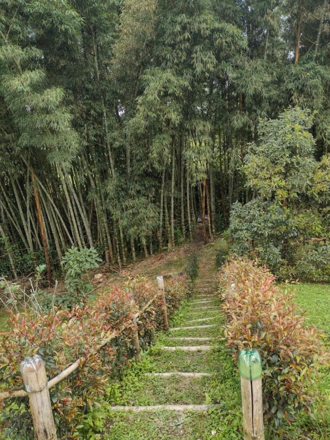 Finca clima templado, quebrada y jacuzzi; los clientes pueden usar todo el espacio y no tendrán que compartirlo con el anfitrión ni con otros huéspedes, calles en buen estado Alban  Exterior foto