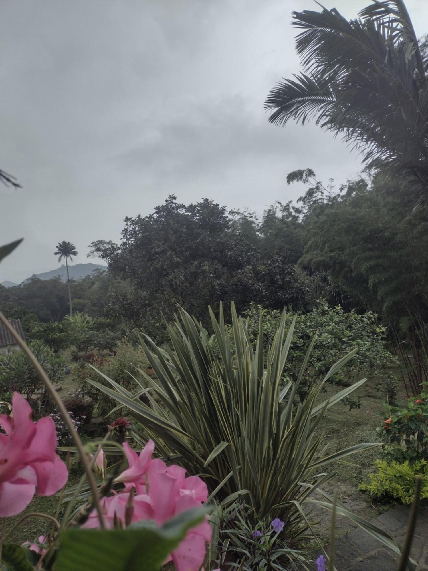 Finca clima templado, quebrada y jacuzzi; los clientes pueden usar todo el espacio y no tendrán que compartirlo con el anfitrión ni con otros huéspedes, calles en buen estado Alban  Exterior foto